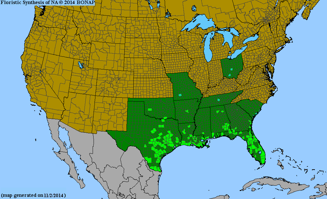 County distribution map of Salvia coccinea - Blood Sage